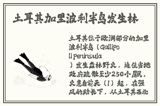 最近日本韩国高清免费观看